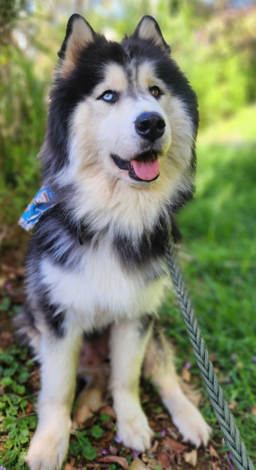 Zeus