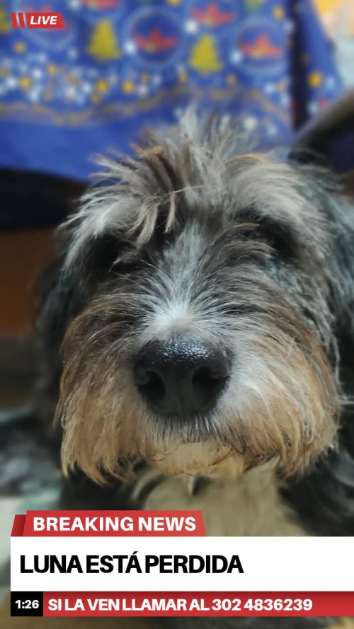 Luna