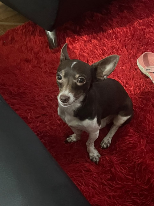 Milo