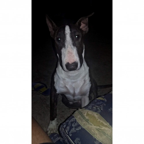 Zeus