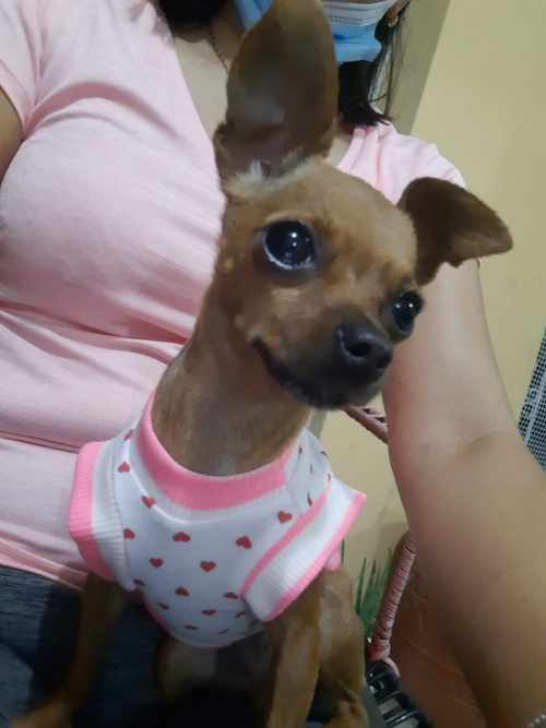 Luna