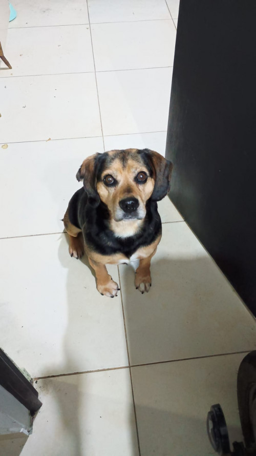 Teodoro