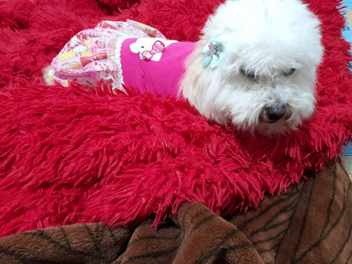 Samy