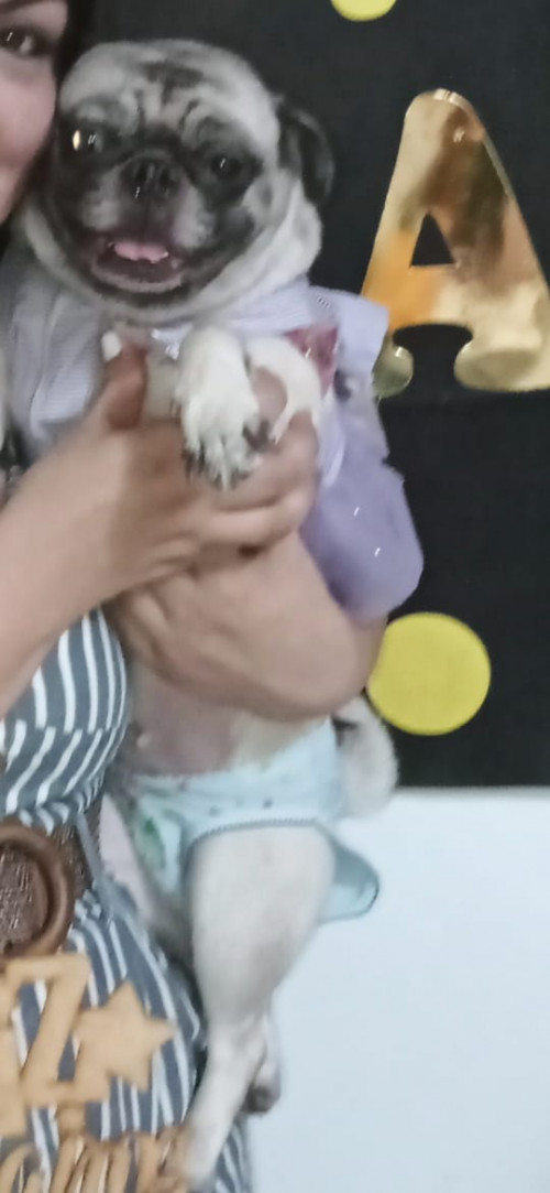 Lulu