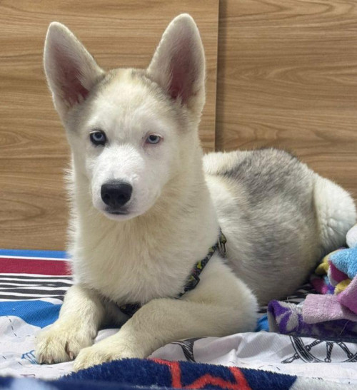 Ragnar