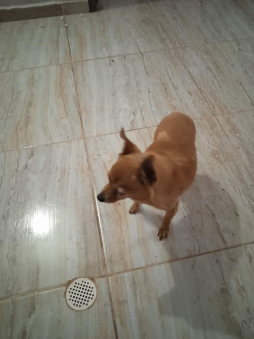 Matías