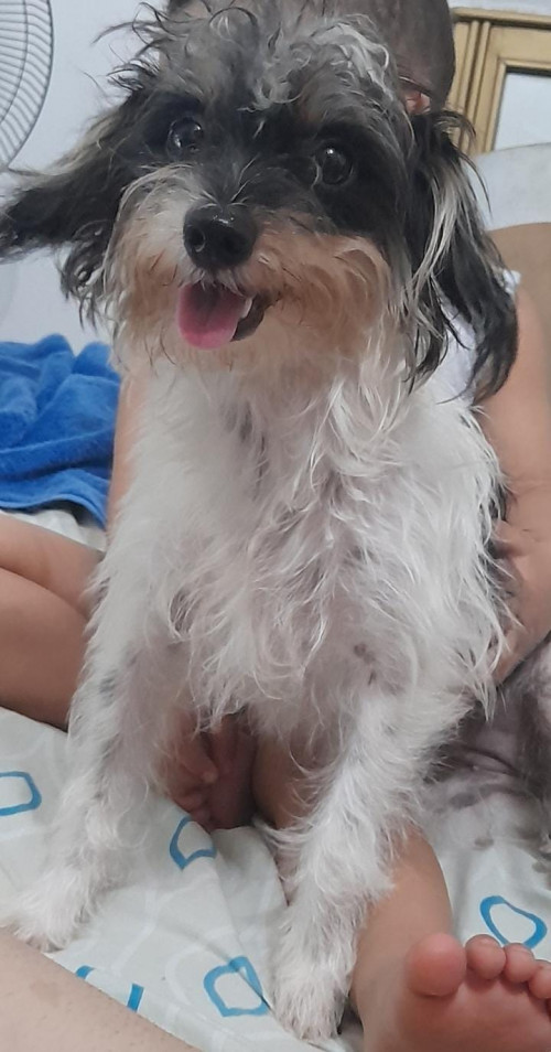 Morita