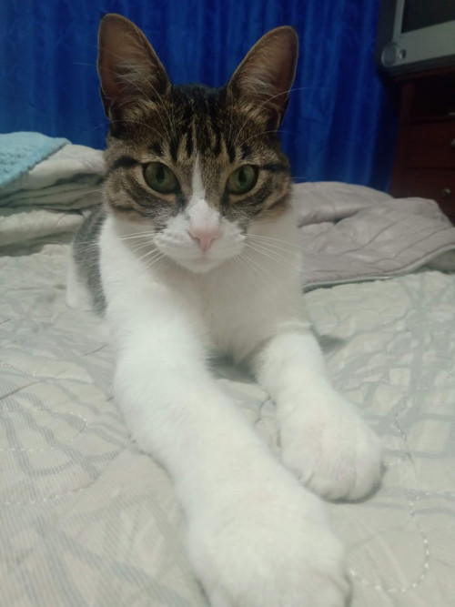 Parker