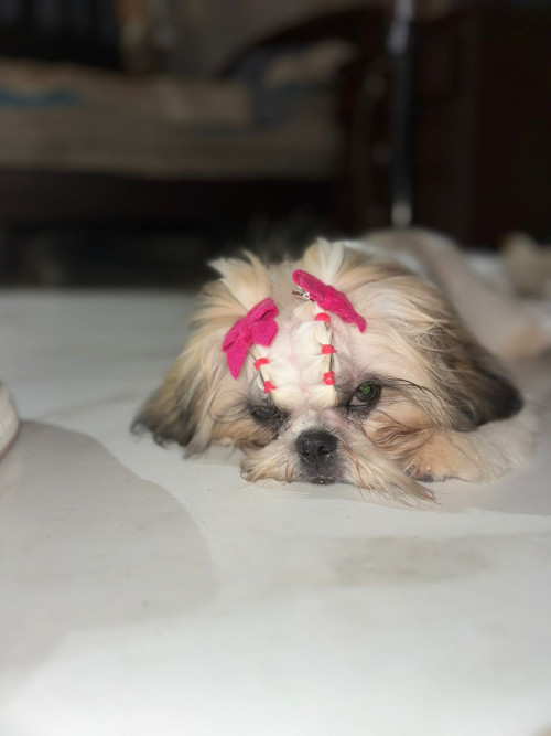 Cloe
