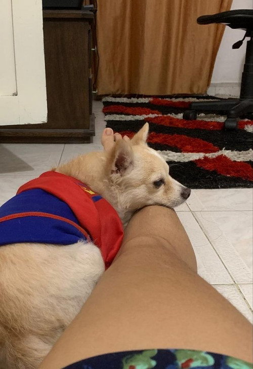 Simba