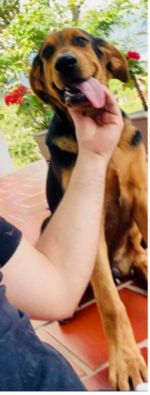 Chester