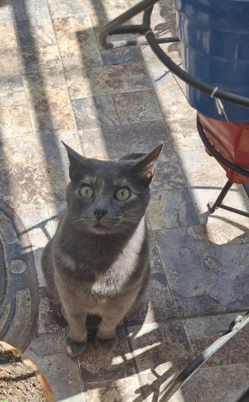 Luna