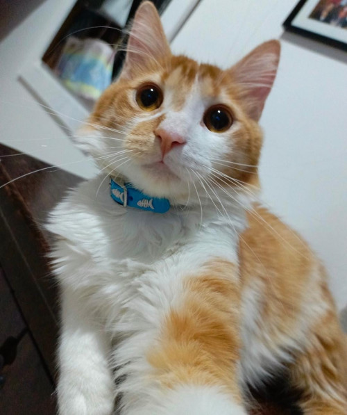 Gary