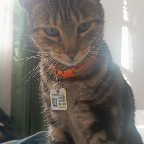 Florencio