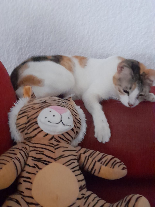 Nala