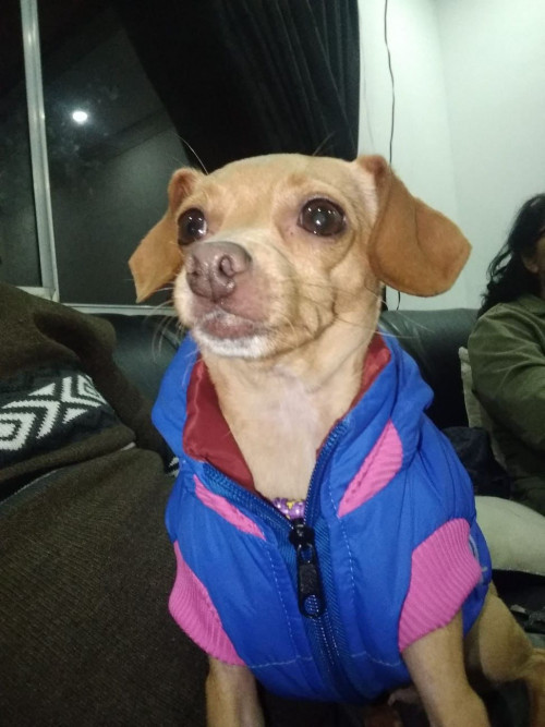 Fiona