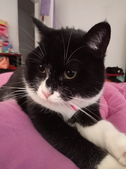 Sabrina