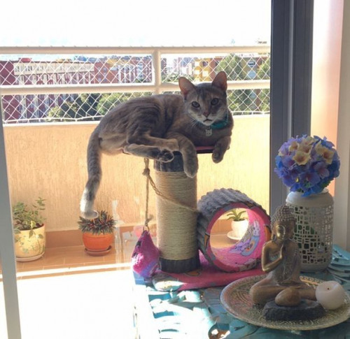 Luna