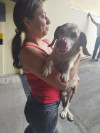 Foto de Locky en Cali Valle del Cauca #10