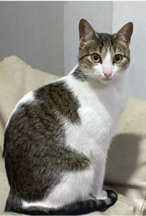 Lupita