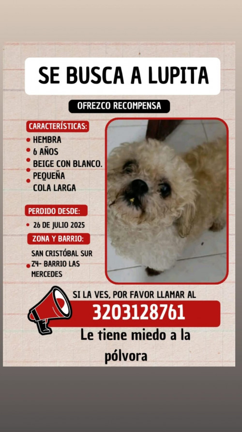 Lupita