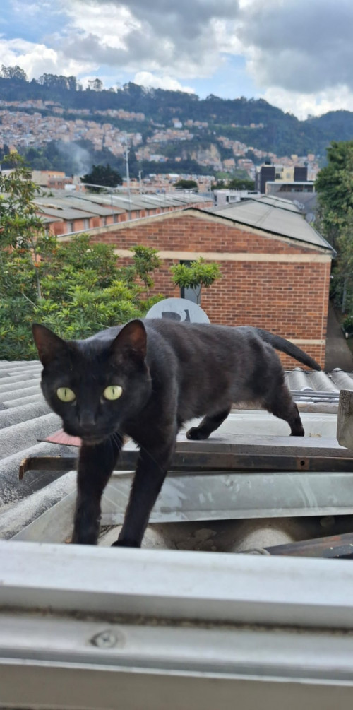Salem