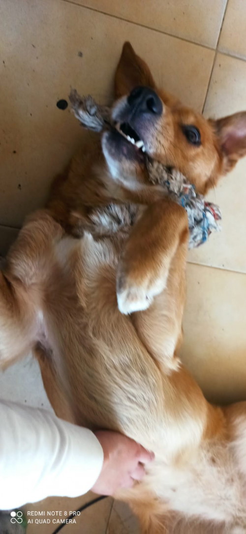 Kiara