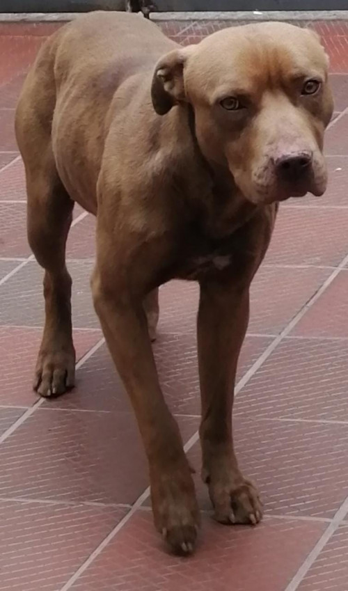 Zeus