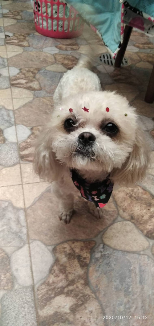 Lupita