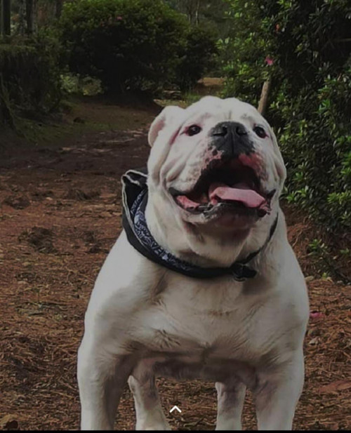 Ramón