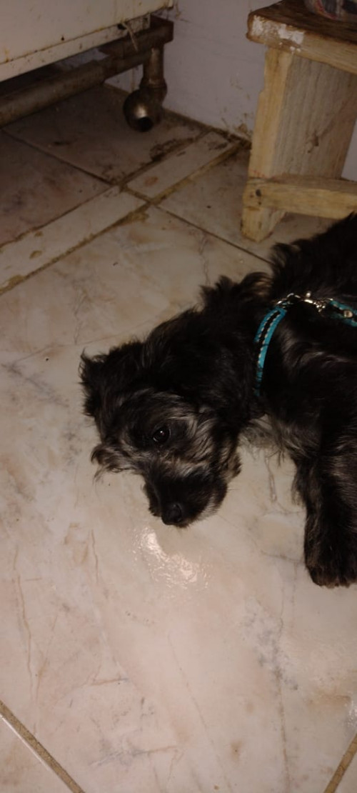 Lupita