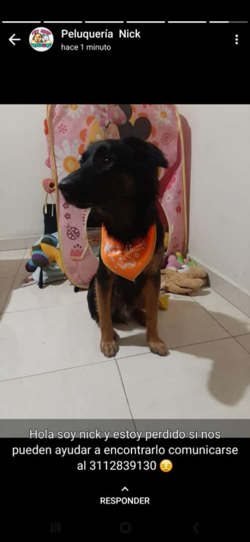 Nick