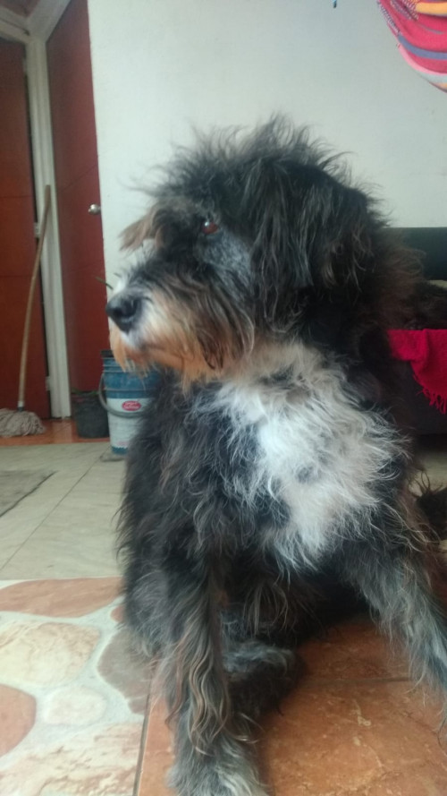 Luna