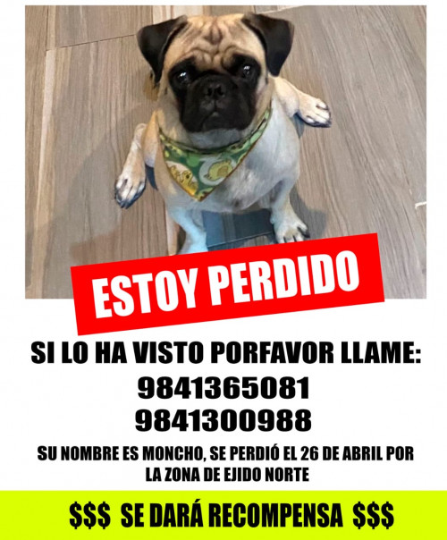 Moncho