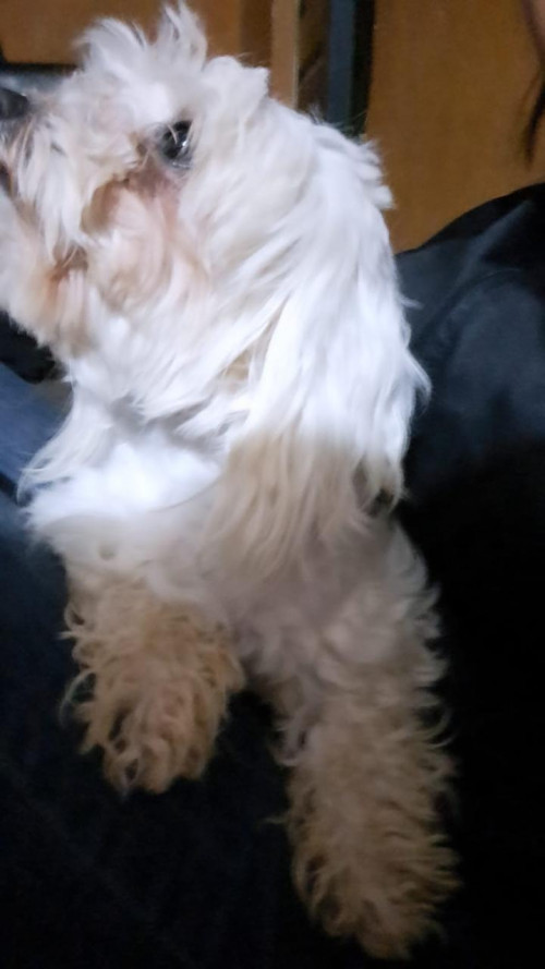 Bebé