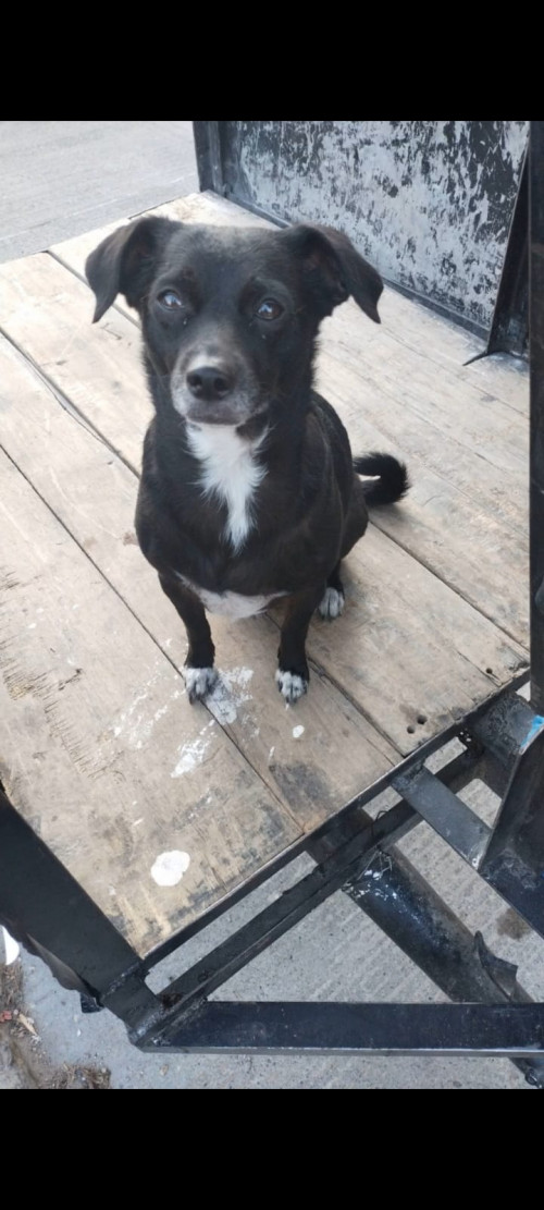 Zoe