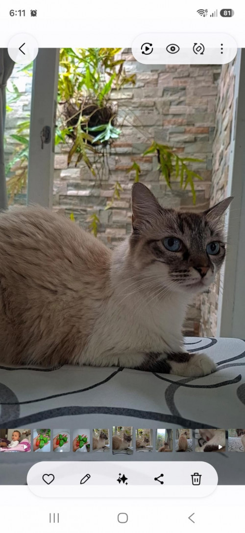 Mia