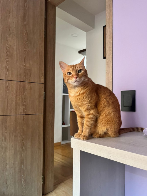 Zoe