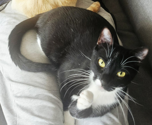 Luna