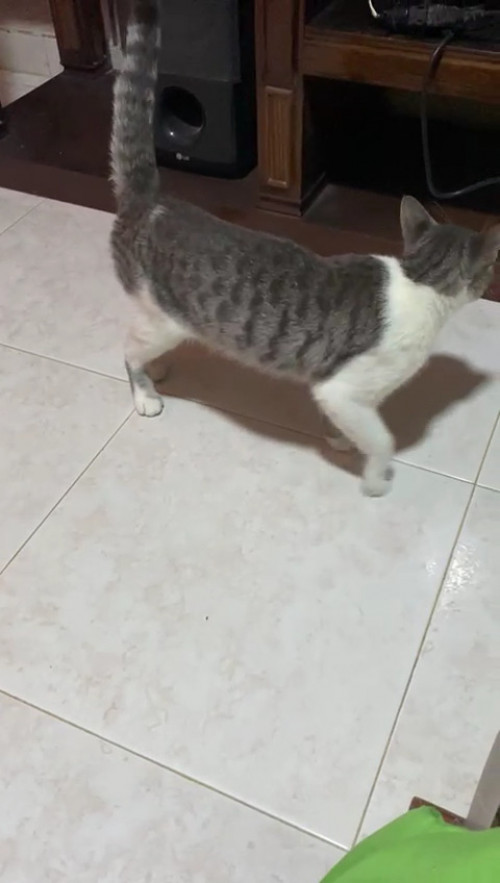 Alan