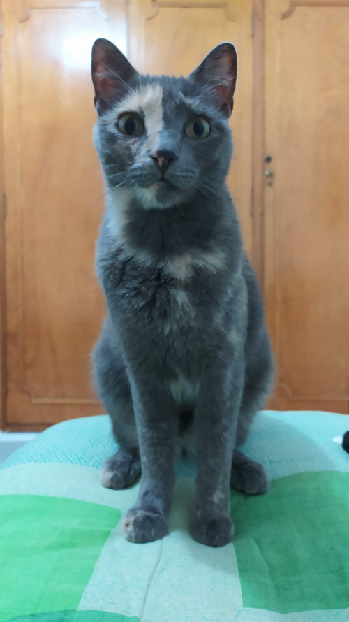 Lucy