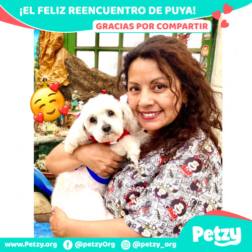 Foto de mascota Puya