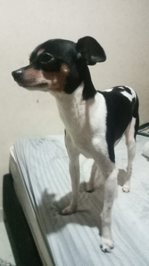 Max Y Princesa