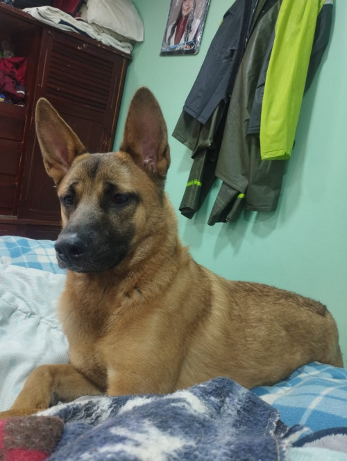 Kiara
