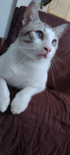 Foto de Loquito en Barrancabermeja Santander #0