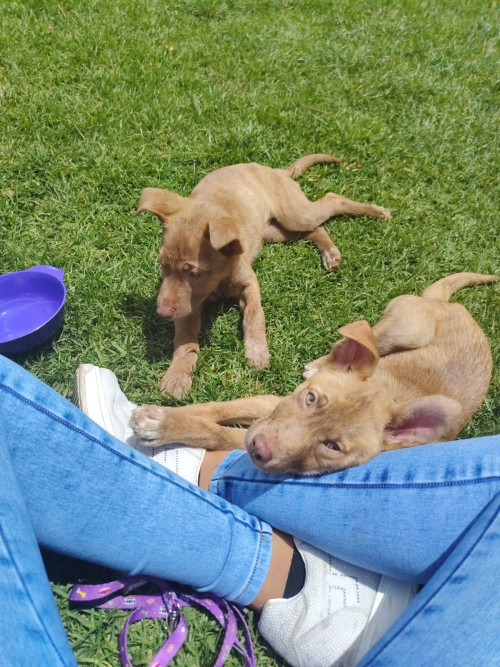 Mónaco Y Chanell