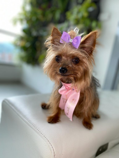Lupita