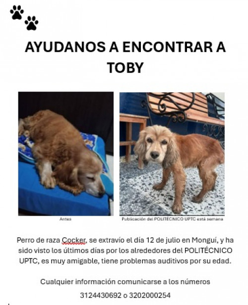 Toby