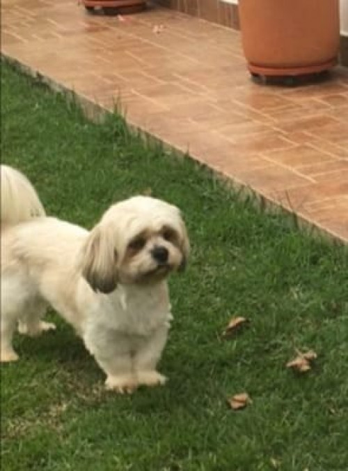 Princesa