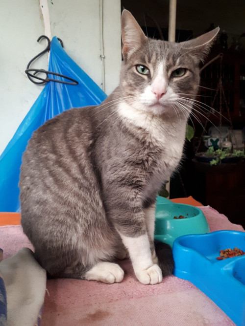 Darwin